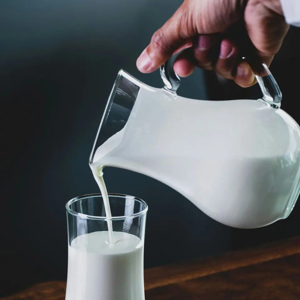 Annapurna Organics A2 Cow Milk (1 L)