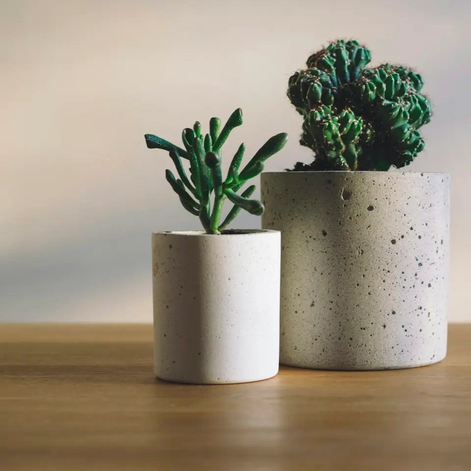 20% off Ceramic Planter Set (3 pcs)