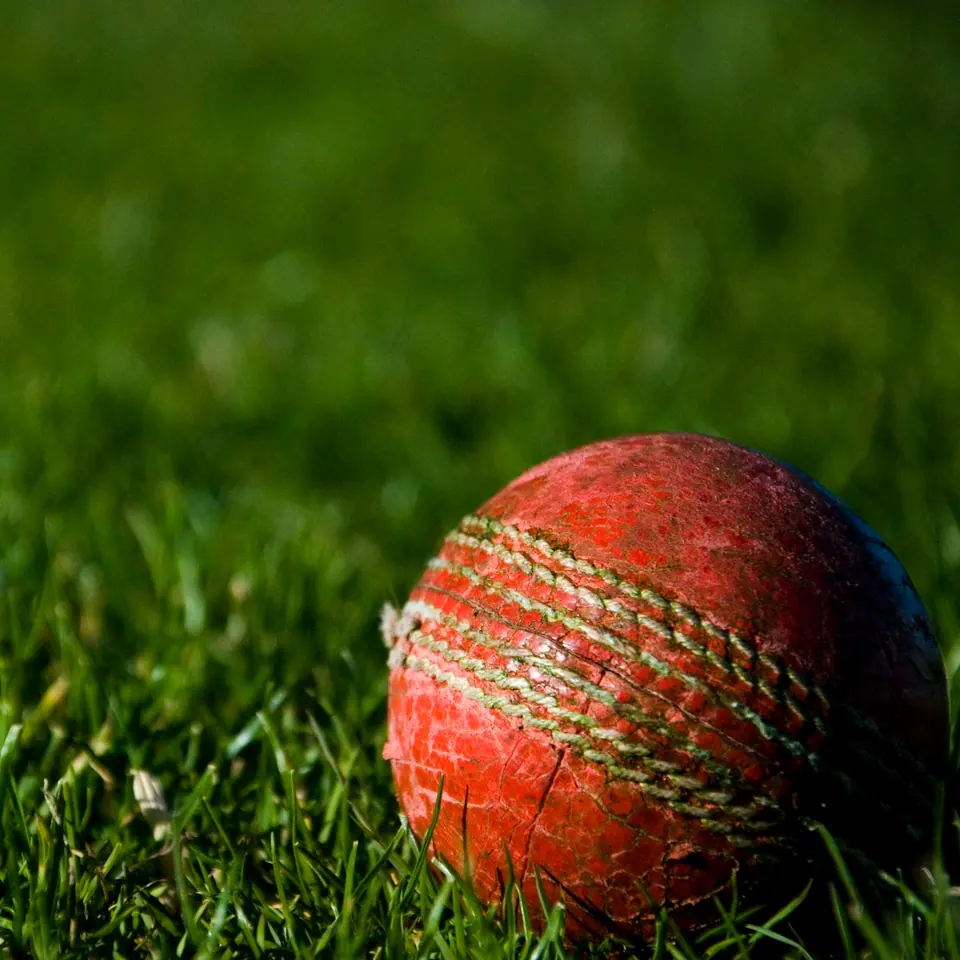 15% off Striker English Willow Cricket Bat